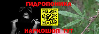 гашик Будённовск