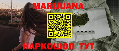 гашик Будённовск