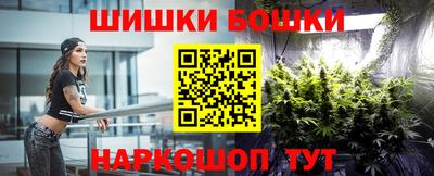 гашик Будённовск
