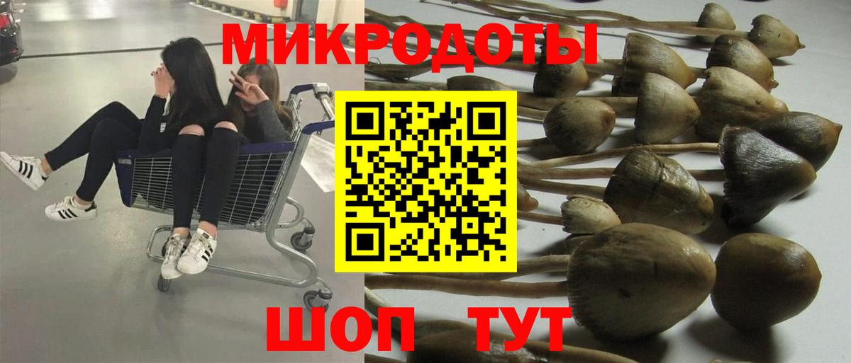 Галлюциногенные грибы MAGIC MUSHROOMS Унеча