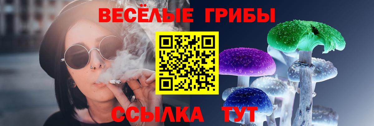 Галлюциногенные грибы мицелий  Галлюциногенные грибы мицелий  Вход с VPN  закладки  Унеча 
